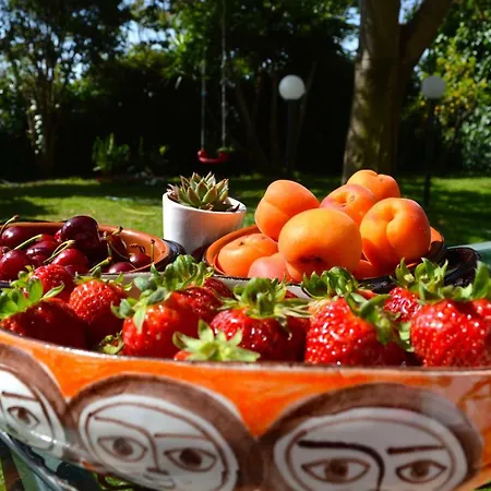 Appartamento Casa Magnolia Gravina di Catania